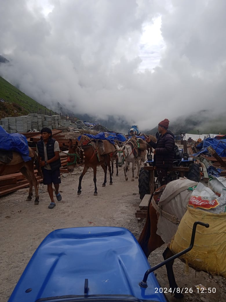 घोड़े- खच्चरों की आवाजाही के लिए खुला केदारनाथ मार्ग