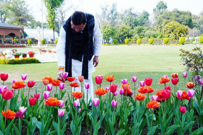सीएम धामी ने आवास परिसर में लगाए गए ट्यूलिप प्रजाति के पुष्पों का अवलोकन किया