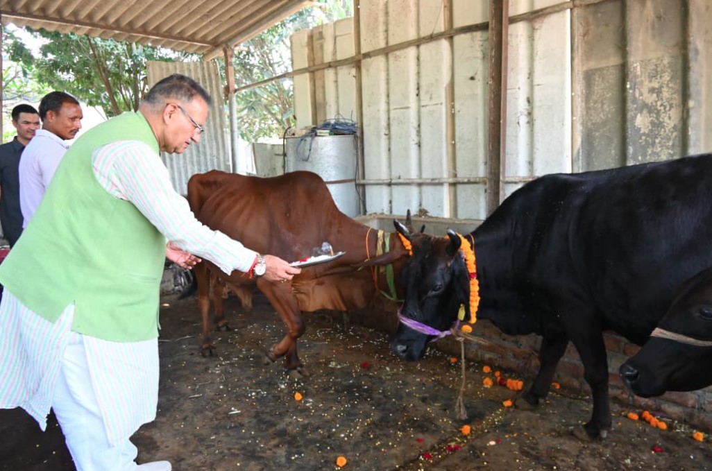 कैबिनेट मंत्री गणेश जोशी ने गोवर्धन पूजा के अवसर पर किया गौमाता का पूजन