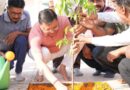 एक पेड़ मां के नाम” अभियान के तहत पौधरोपण एवं स्वच्छता का संदेश