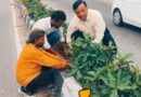 सीएम पुष्कर सिंह धामी के विजन को मिली रफ्तार, बंशीधर तिवारी के नेतृत्व में हरा-भरा हो रहा दून