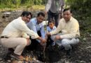 हरेला पर हरियाली का महाअभियान : ‘हरित दून’ के संकल्प के साथ एमडीडीए ने रखा 1 लाख पौधों का लक्ष्य