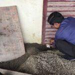अवैध निर्माणों पर एमडीडीए की कार्रवाई, दो भवन सील